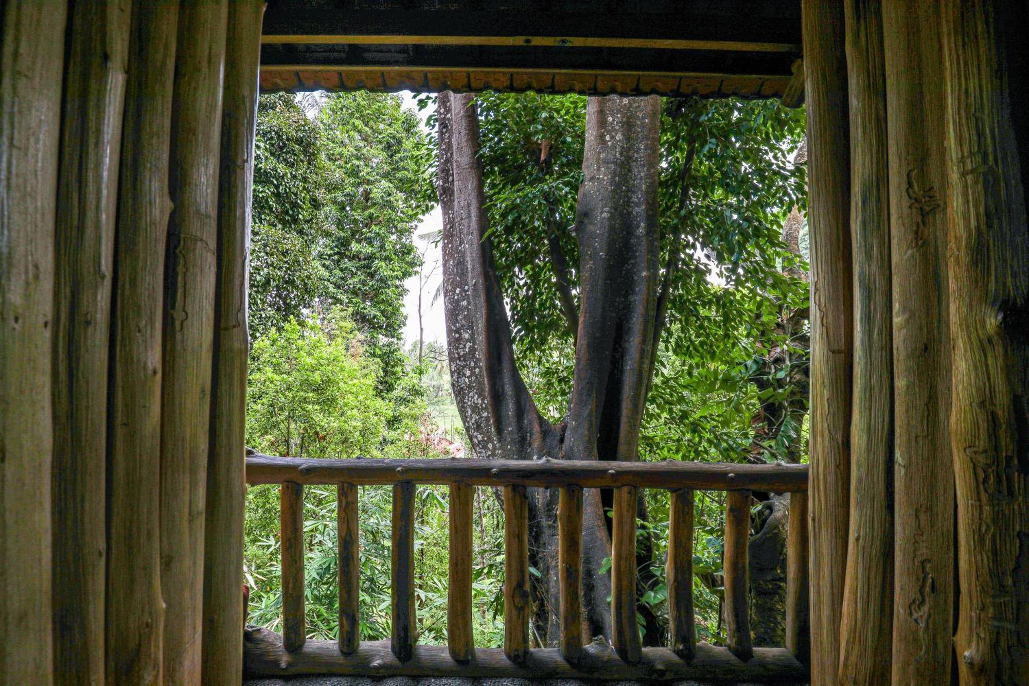 Hotel Omunity Bali Singaraja Exterior foto