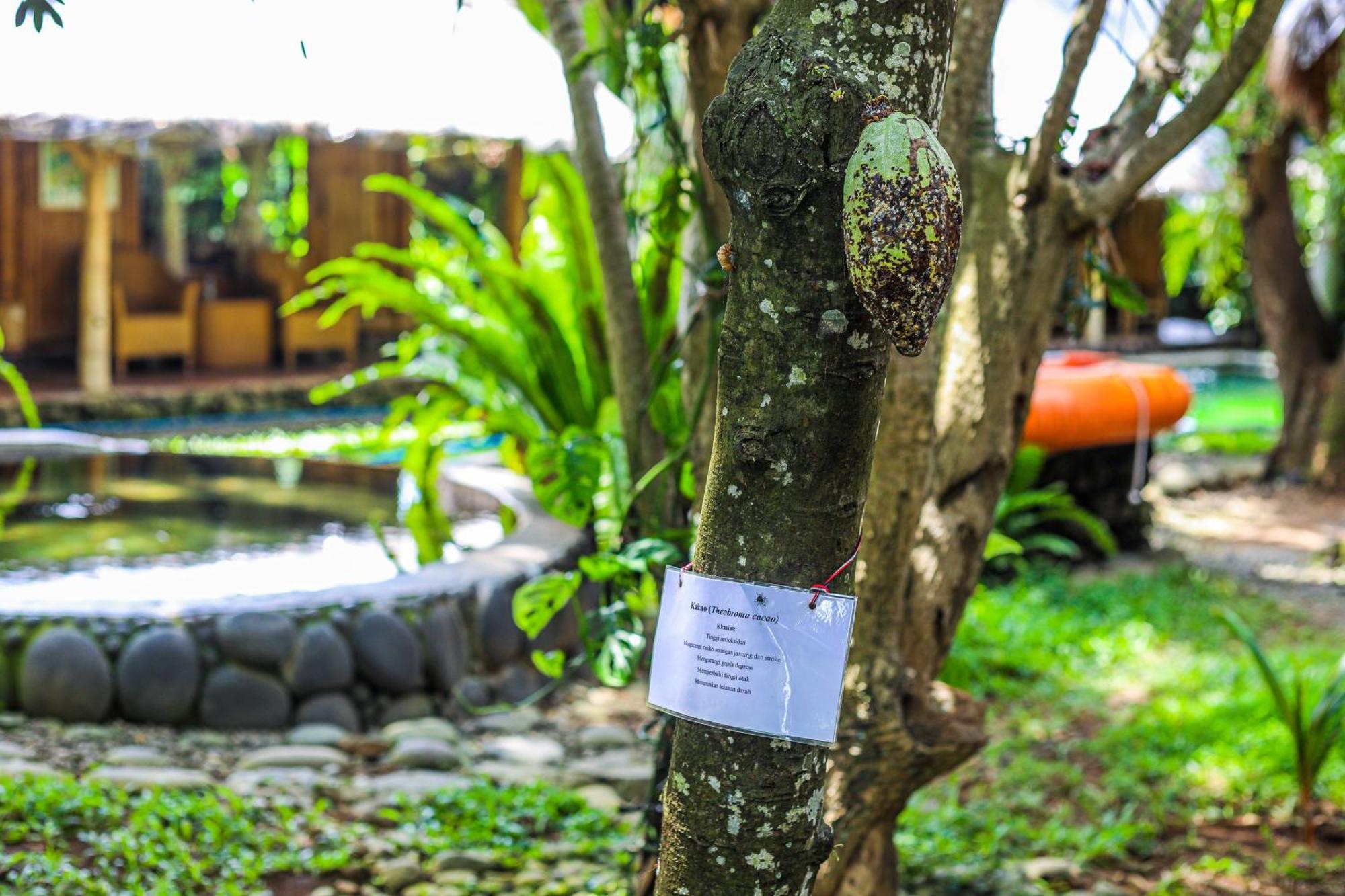 Hotel Omunity Bali Singaraja Exterior foto