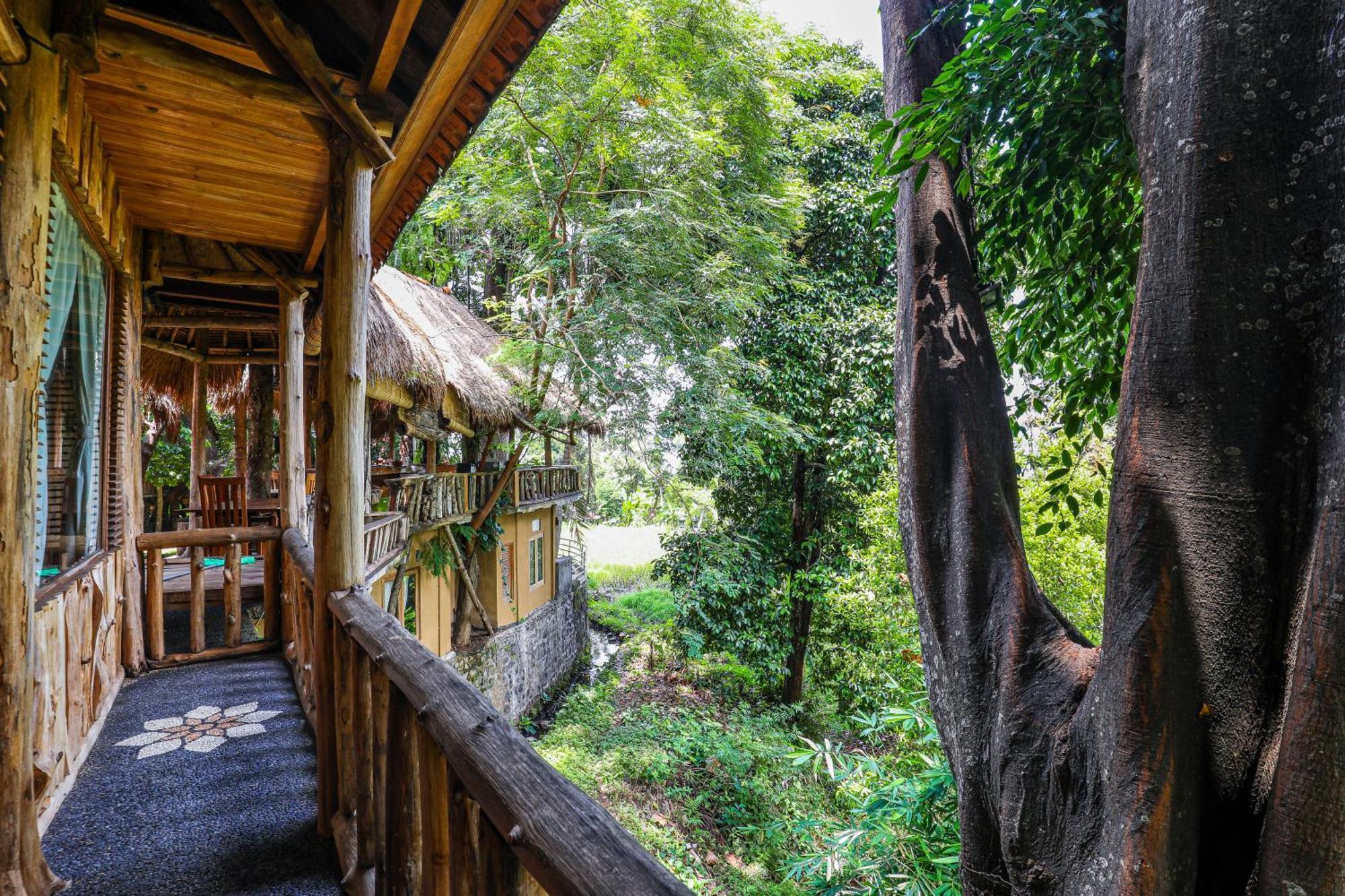 Hotel Omunity Bali Singaraja Exterior foto