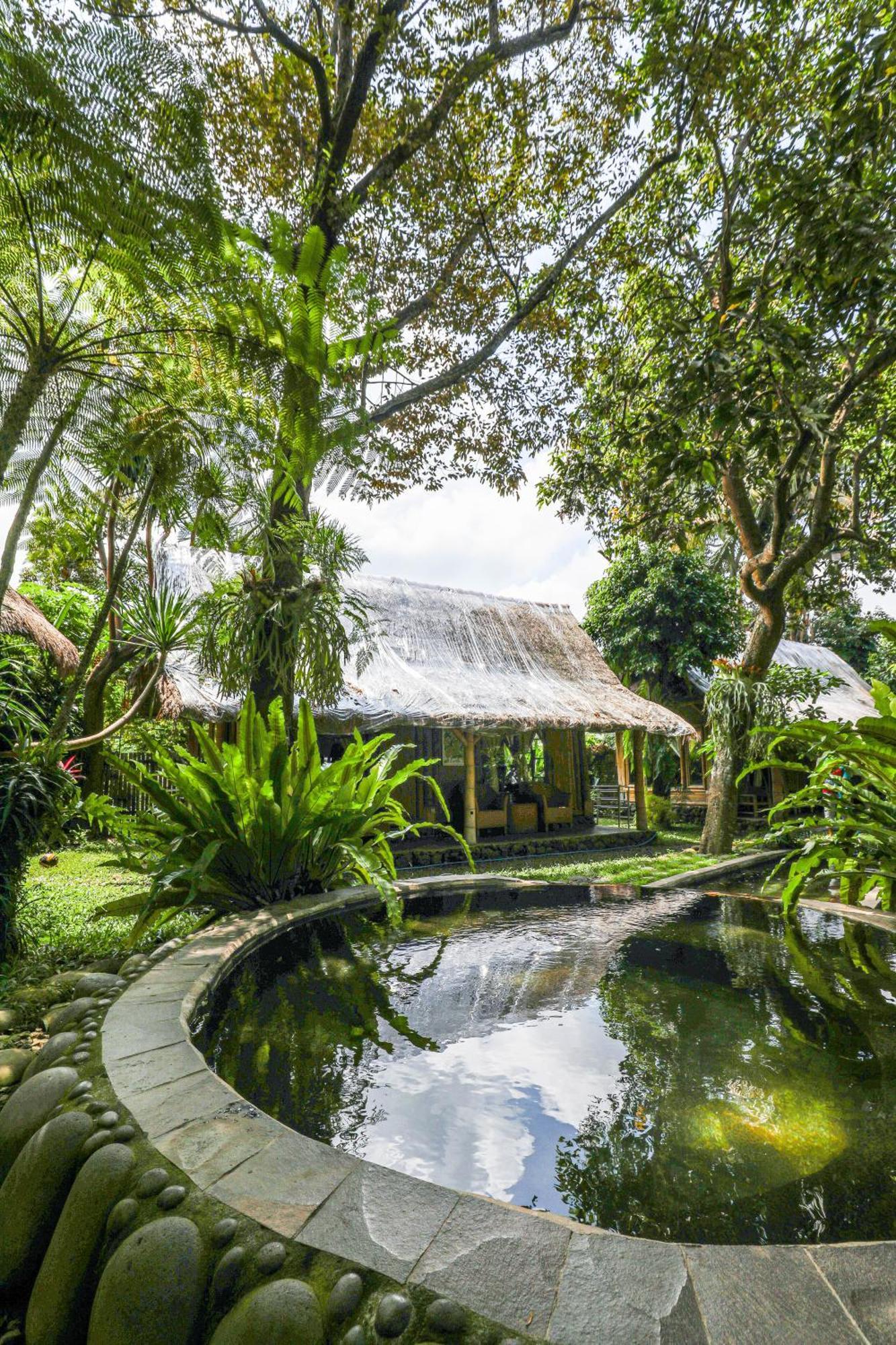 Hotel Omunity Bali Singaraja Exterior foto